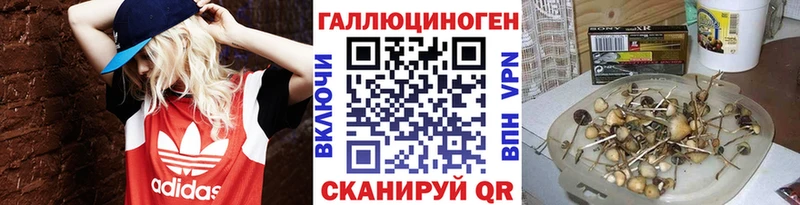 Галлюциногенные грибы Psilocybine cubensis  Купить  Кемь 